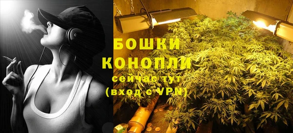 дмт Белокуриха
