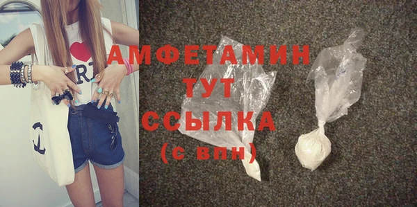 сатива Беломорск