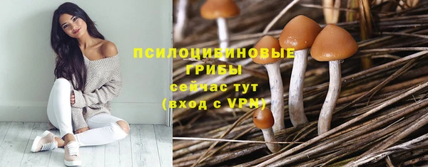 прущий лед Белоозёрский