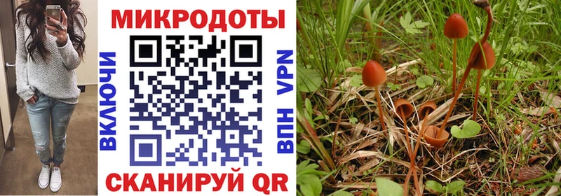 Галлюциногенные грибы мицелий  Окуловка 